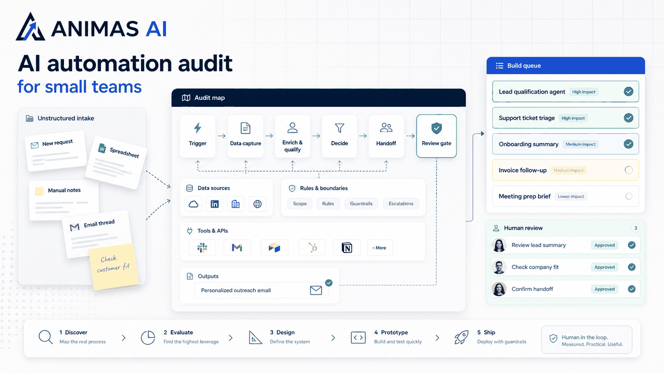 Premium Animas AI cover for an AI automation audit for small teams.