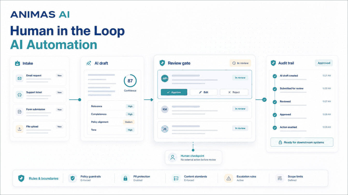 Premium Animas AI cover for human-in-the-loop AI automation.